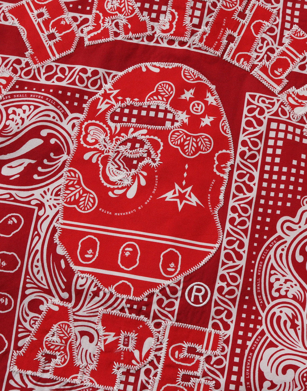PAISLEY PATTERN LS SHIRT MENS